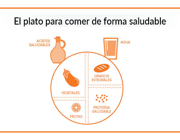 composición de un plato saludable